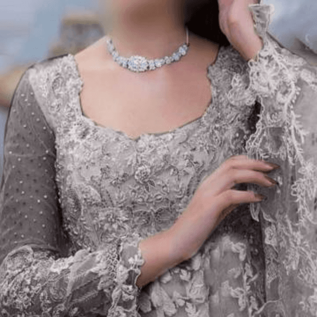 New Outfit Wear Organza